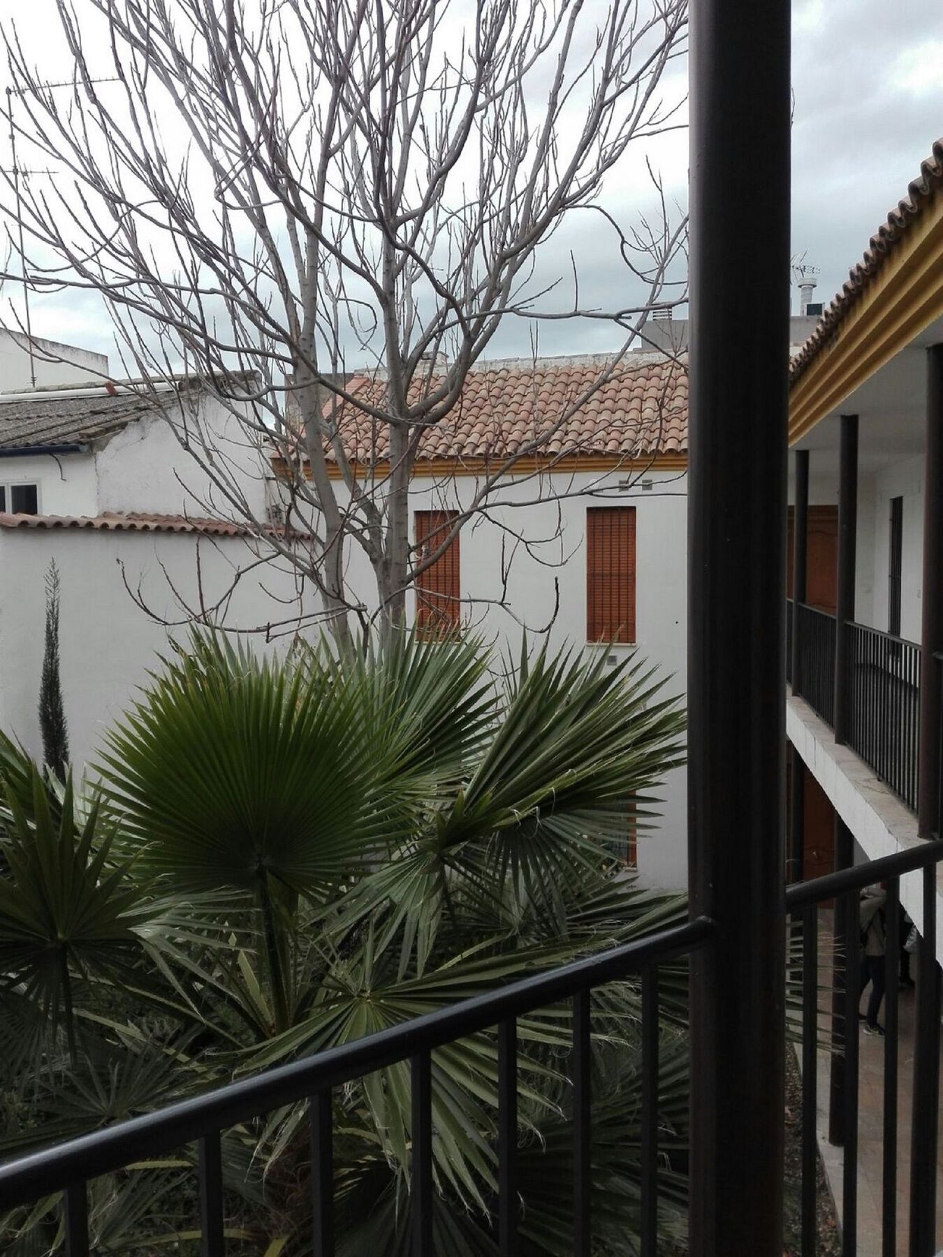 Apartamento Alfonso XII Córdoba Exteriér fotografie